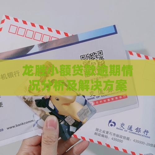 龙胜小额贷款逾期情况分析及解决方案