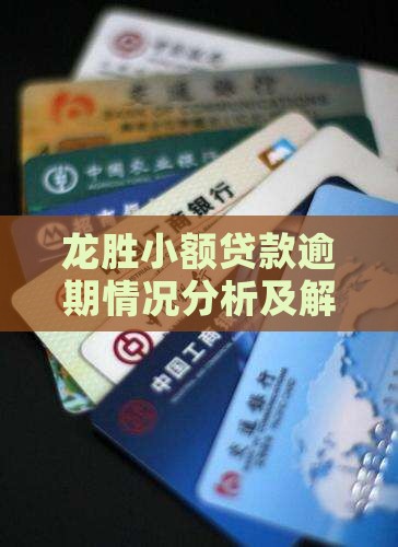 龙胜小额贷款逾期情况分析及解决方案