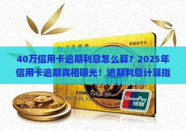 40万信用卡逾期利息怎么计算