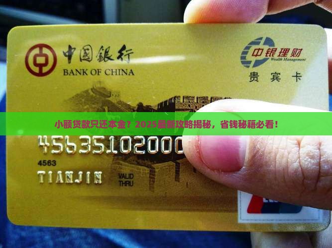 小额贷款只还本金怎么操作