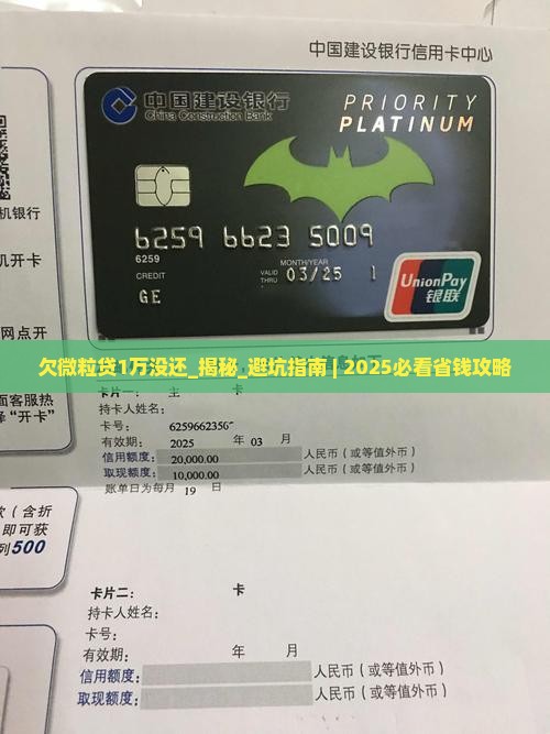 欠微粒贷1万没还