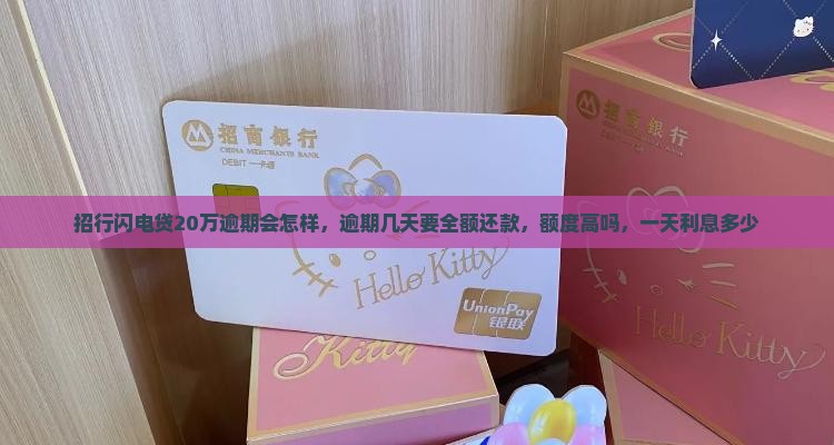 招行闪电贷20万逾期会怎样 招行闪电贷20万逾期会怎样