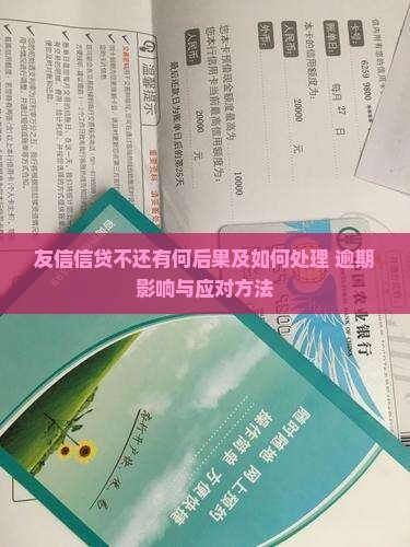 友信信贷不还有何后果及如何处理