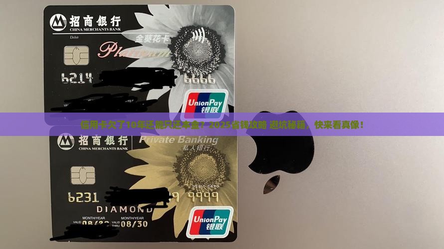 信用卡欠了10年可以只还本金吗怎么办