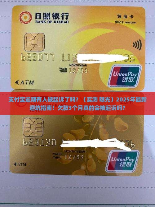 支付宝逾期有人被起诉了吗