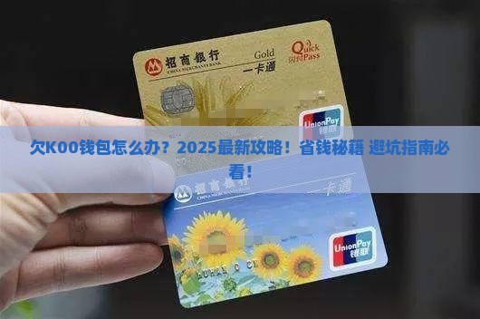 欠K00钱包怎么办