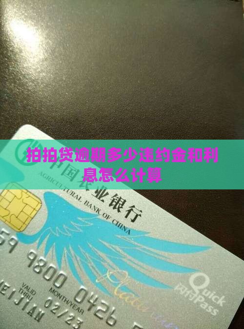 拍拍贷逾期多少违约金计算方法