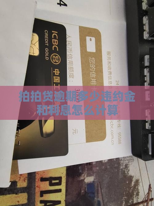 拍拍贷逾期多少违约金计算方法