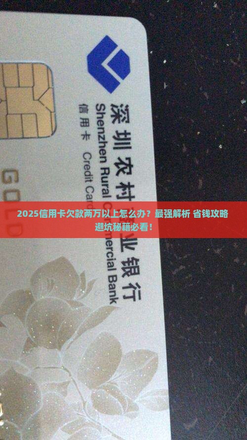 每张信用卡欠两万多怎么办巧妙解决