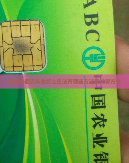 网贷协商还本金怎么还法有哪些方法