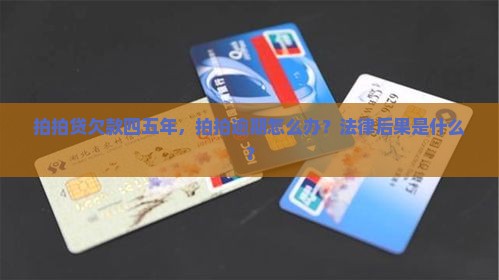 拍拍贷欠款四五年