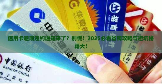 信用卡逾期违约通知怎么处理