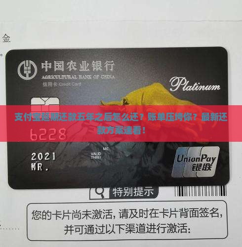 支付宝延期还款五年之后如何偿还