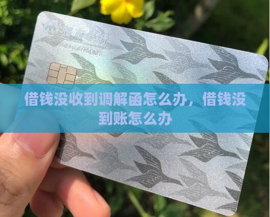 微博借钱没收到调解函怎么办