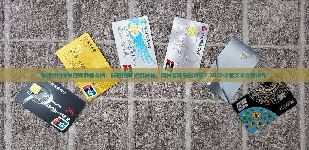 深圳分期停息挂账案例最新