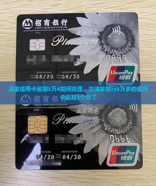 浦发信用卡逾期5万4如何处理