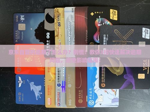 京东自营的白条逾期了怎么办