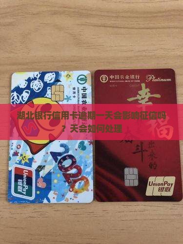 湖北银行信用卡逾期一天会不会上征信怎么办理
