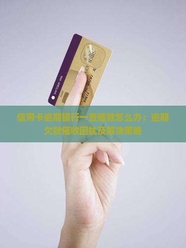 信用卡逾期银行一直催款怎么办：逾期欠款催收困扰及解决策略