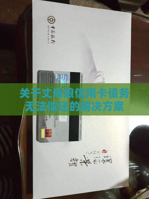 关于丈母娘信用卡债务无法偿还的解决方案