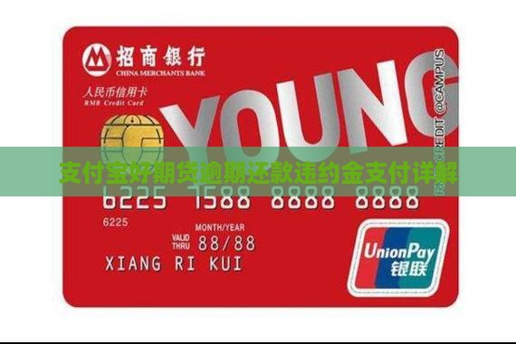 支付宝好期贷逾期还款违约金支付详解