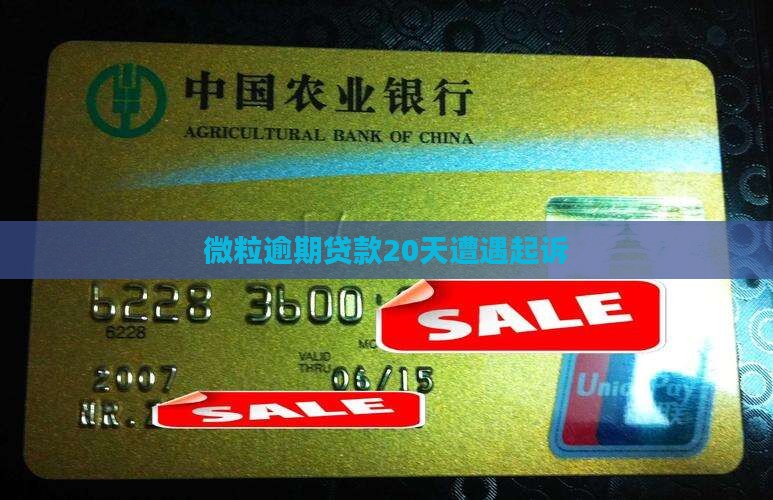 微粒逾期贷款20天遭遇起诉