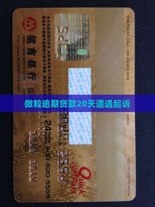 微粒逾期贷款20天遭遇起诉