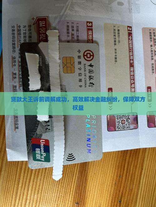 贷款大王诉前调解成功，高效解决金融纠纷，保障双方权益