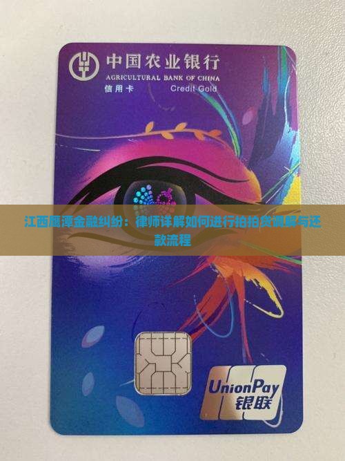 江西鹰潭金融纠纷：律师详解如何进行拍拍贷调解与还款流程