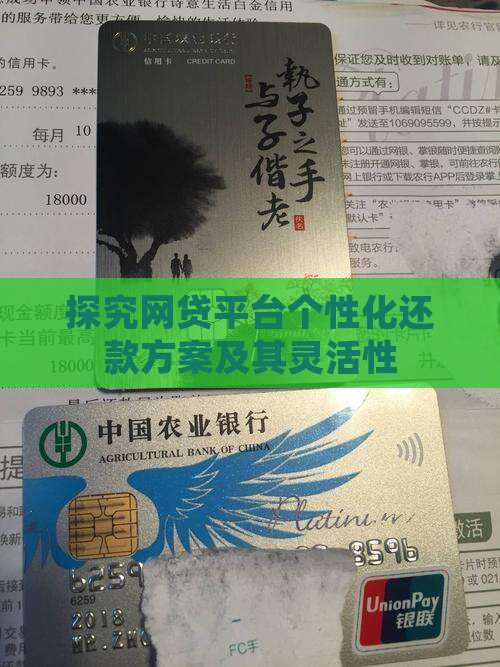 探究网贷平台个性化还款方案及其灵活性