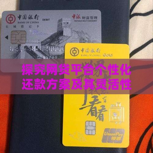 探究网贷平台个性化还款方案及其灵活性