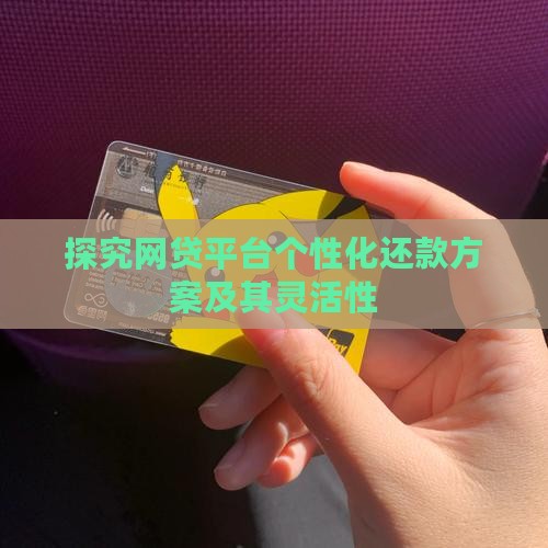 探究网贷平台个性化还款方案及其灵活性