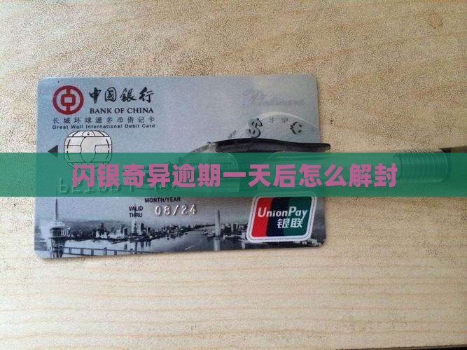 闪银奇异逾期一天后怎么解封