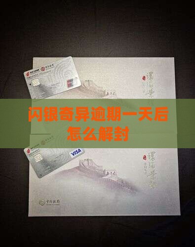 闪银奇异逾期一天后怎么解封