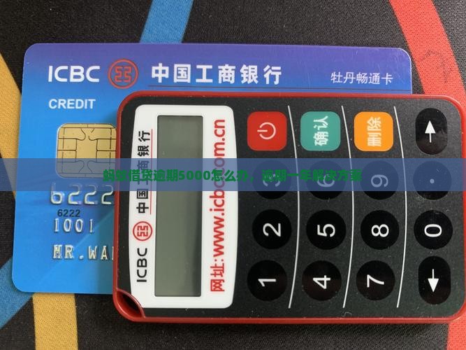 蚂蚁借贷逾期5000怎么办，逾期一年解决方案