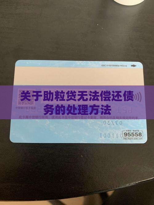 关于助粒贷无法偿还债务的处理方法