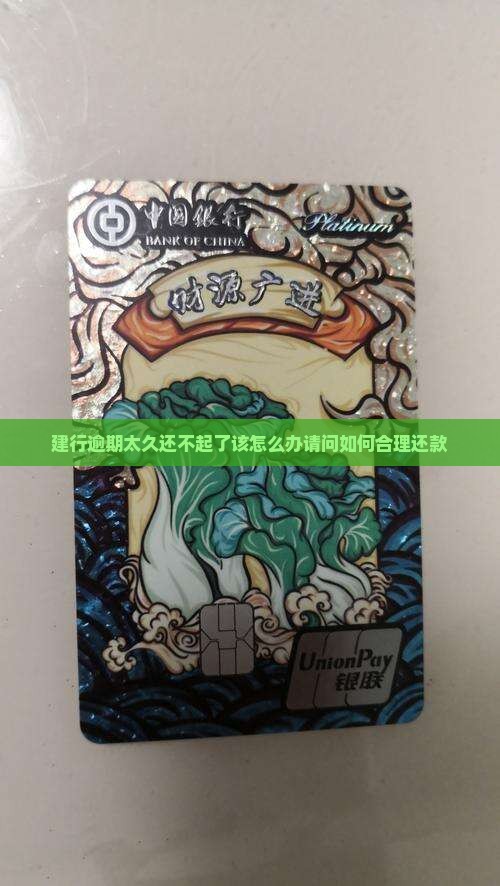 建行逾期太久还不起了该怎么办请问如何合理还款