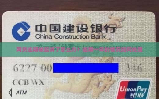 网贷逾期被起诉了怎么办？逾期一年的情况如何处理