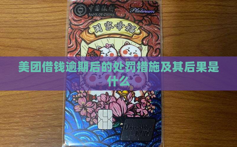 美团借钱逾期后的处罚措施及其后果是什么