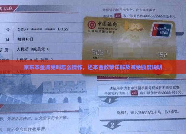 京东本金减免吗怎么操作，还本金政策详解及减免额度说明