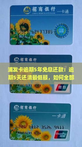 浦发卡逾期5年免息还款：逾期5天还清最低额，如何全部清除债务？