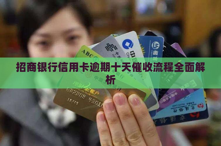 招商银行信用卡逾期十天催收流程全面解析