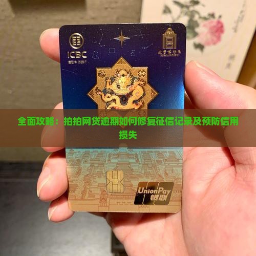 全面攻略：拍拍网贷逾期如何修复征信记录及预防信用损失