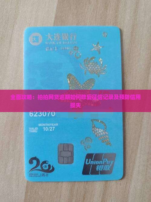 全面攻略：拍拍网贷逾期如何修复征信记录及预防信用损失