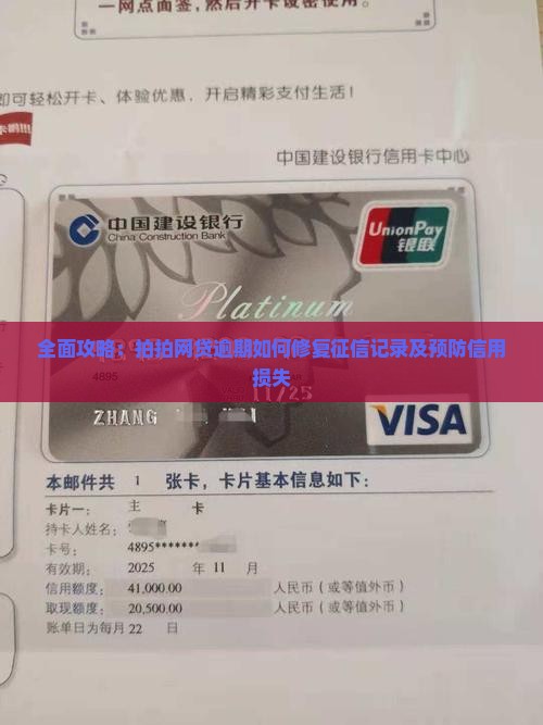 全面攻略：拍拍网贷逾期如何修复征信记录及预防信用损失