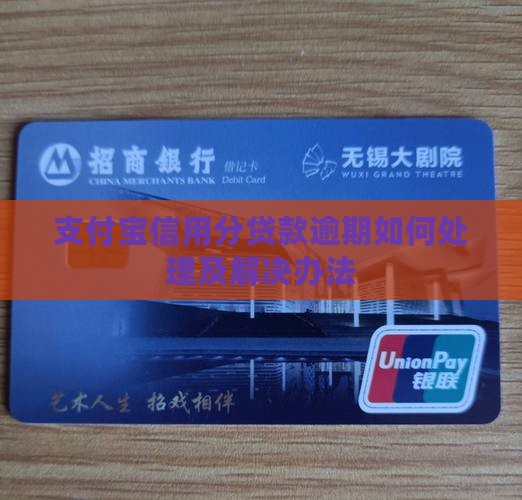 支付宝信用分贷款逾期如何处理及解决办法