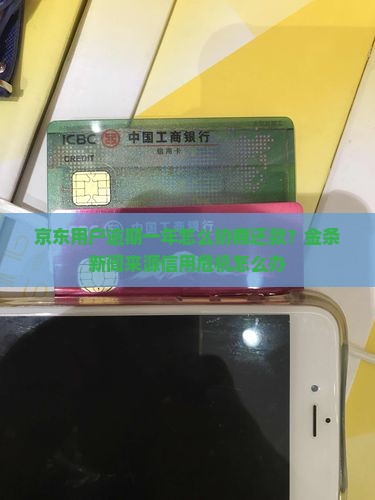京东用户逾期一年怎么协商还款？金条新闻来源信用危机怎么办