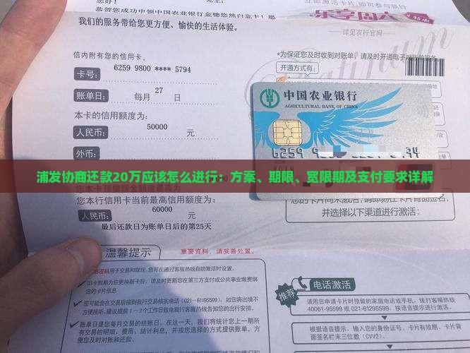 浦发协商还款20万应该怎么进行：方案、期限、宽限期及支付要求详解