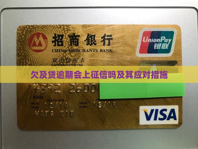 欠及贷逾期会上征信吗及其应对措施