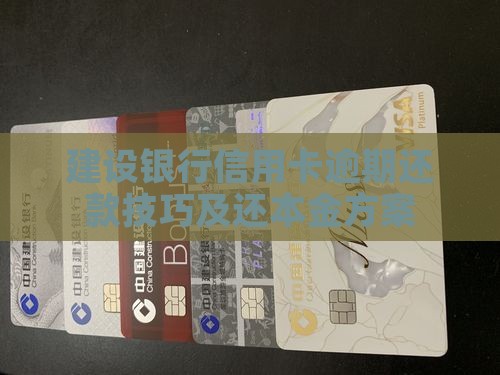 建设银行信用卡逾期还款技巧及还本金方案